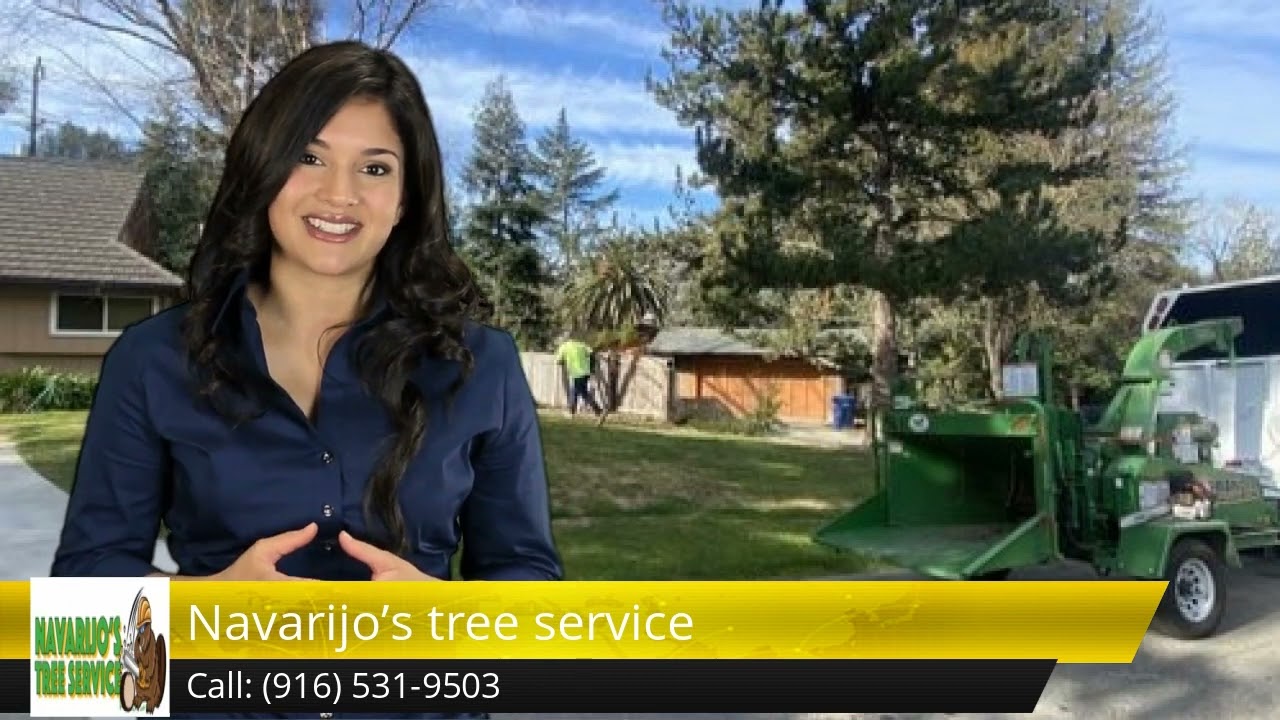 Navarijo’s tree service Sacramento Impressive Five Star Review by Rachelle & Noel Itsumaru