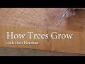 How Trees Grow