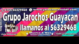 Video thumbnail of "Coplas Jarochas Groseras - Jarochos Guayacan - Son Jarocho en DF / CDMX"