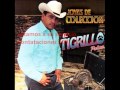 el tigrillo palma corridos mix2