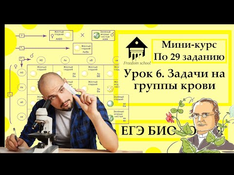 Мини-курс по задачам по генетике. Урок 6. Задачи на группы крови |ЕГЭ БИОЛОГИЯ|Freedom|