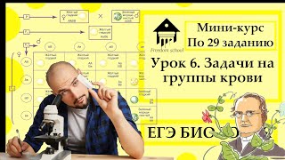 Мини-курс по задачам по генетике. Урок 6. Задачи на группы крови |ЕГЭ БИОЛОГИЯ|Freedom|