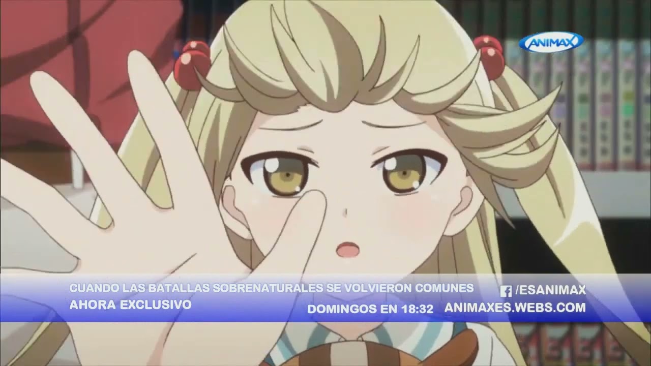 LA HISTORIA DE ANIMAX (ESPAÑA) (DESDE SUS INICIOS HASTA SU CIERRE)