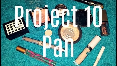 Project 10 Pan INTRO! | Collab w/ Beauty By Mary K