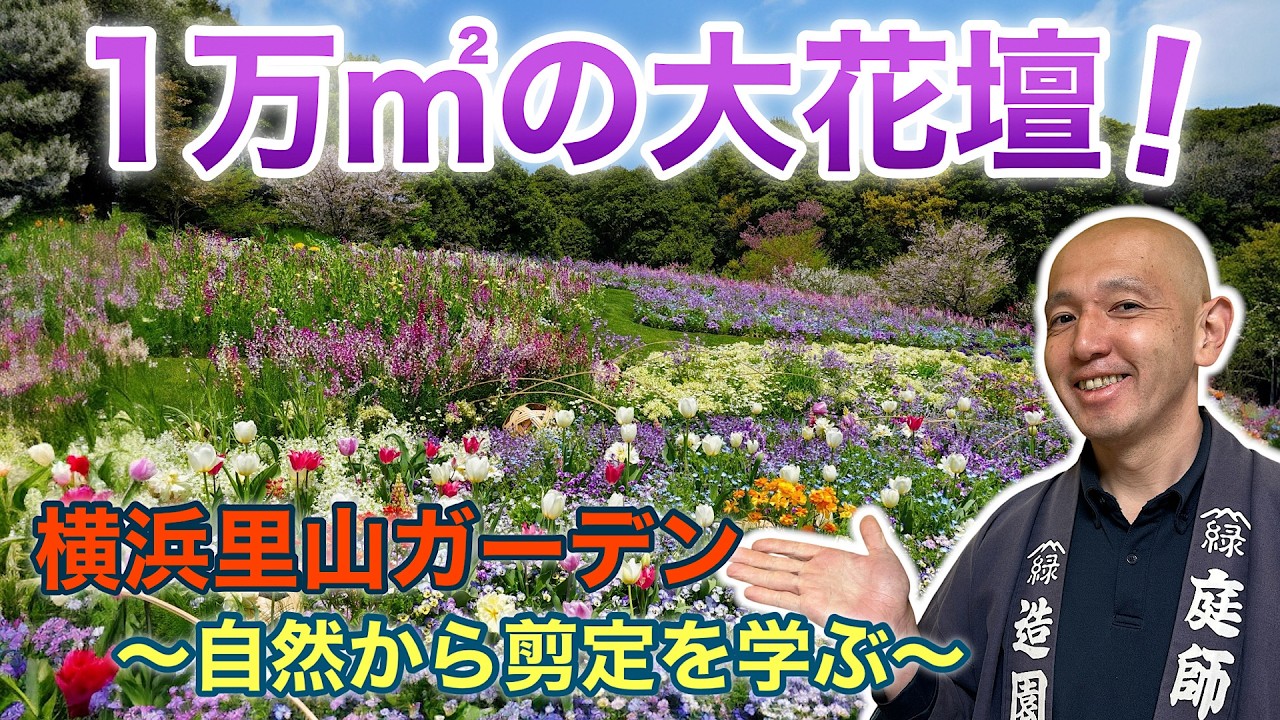 Free admission!] This is Yokohama City's true potential A