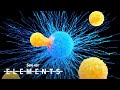 Understanding Immunotherapy and T-cell Therapy