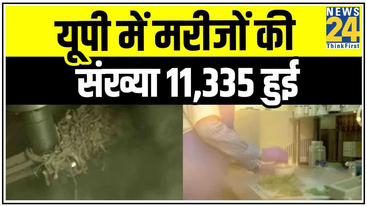 UP में Corona के आज 389 नए मामले, मरीजों की संख्या 11,335 हुई || News24