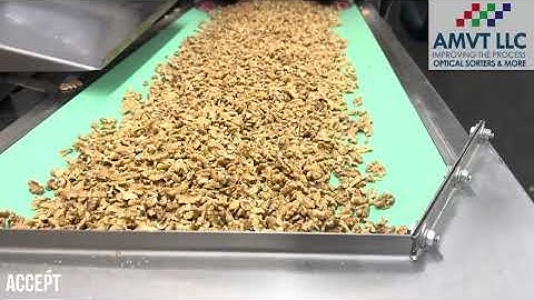 AMVT’s Latest Sorting Technology with Deep AI for Final Inspection on Walnut