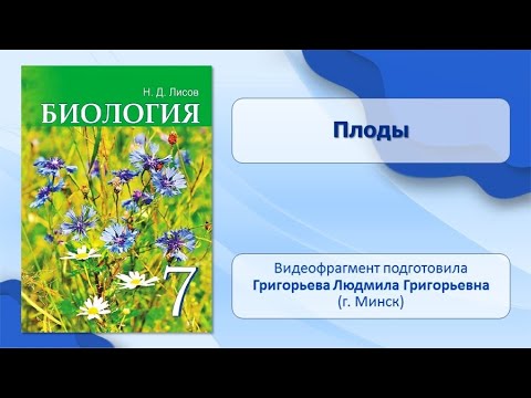 Тема 34. Оплодотворение у цветковых растений