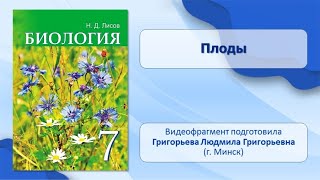 Тема 34. Оплодотворение у цветковых растений