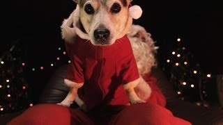 Untertagen - Fröhliche Weihnacht? (Official Video)