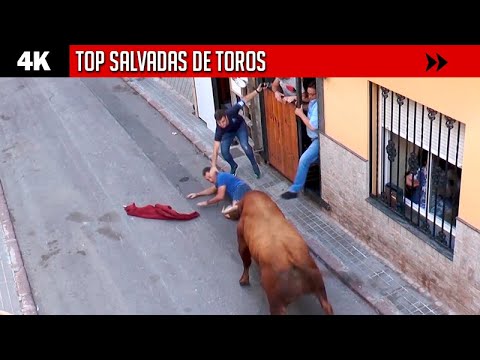 🔝 TOP SALVADAS 🤍 Descubre las mejores salvadas de YOUTUBE (te va a sorprender)