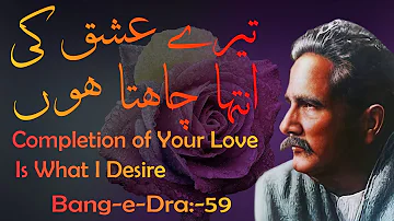 Tere Ishq Ki Intaha Chahta Hun |  Bang-e-Dra:59 | Allama Iqbal | Iqbaliyat | Urdu Ghazal Sangreza