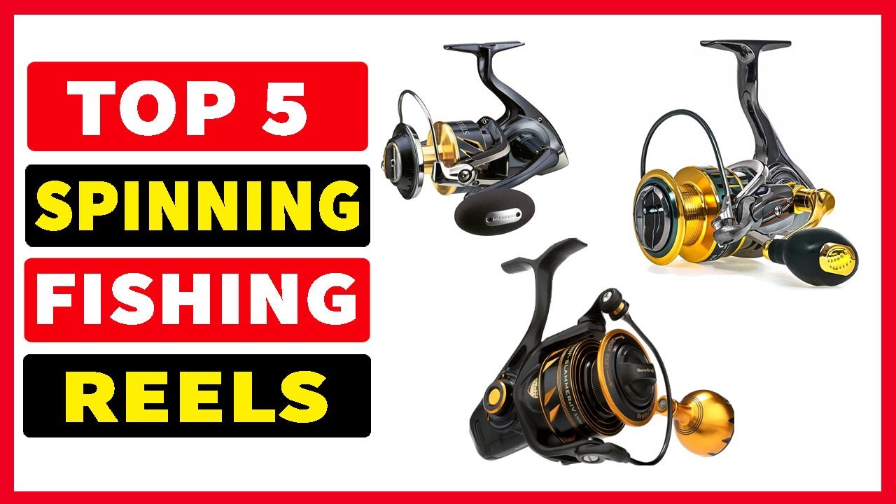 Top 5 Best Spinning Fishing Reels In 2023-2024 - YouTube