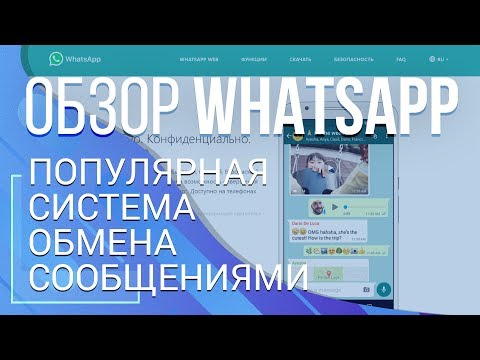 Обзор WhatsApp. Популярная система обмена сообщениями