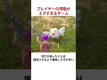 プレイヤーの搾取がエグすぎるゲーム