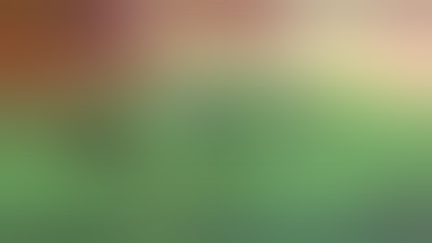 R2DA Mod App Recording proof