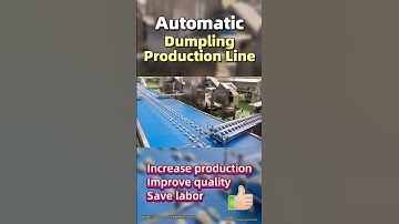 Process of Making Dumpling in Food Factory | Automatic Dumpling Production Line#machine#gyoza#samosa