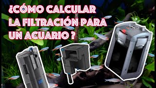 ¿Cómo calcular la filtración para un acuario?