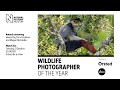 Wildlife Photographer of the Year Awards 2020