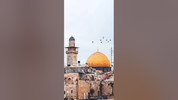 تلاوة خاشعة من سورة الحج