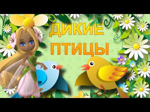ДИКИЕ ПТИЦЫ ДЛЯ САМЫХ МАЛЕНЬКИХ