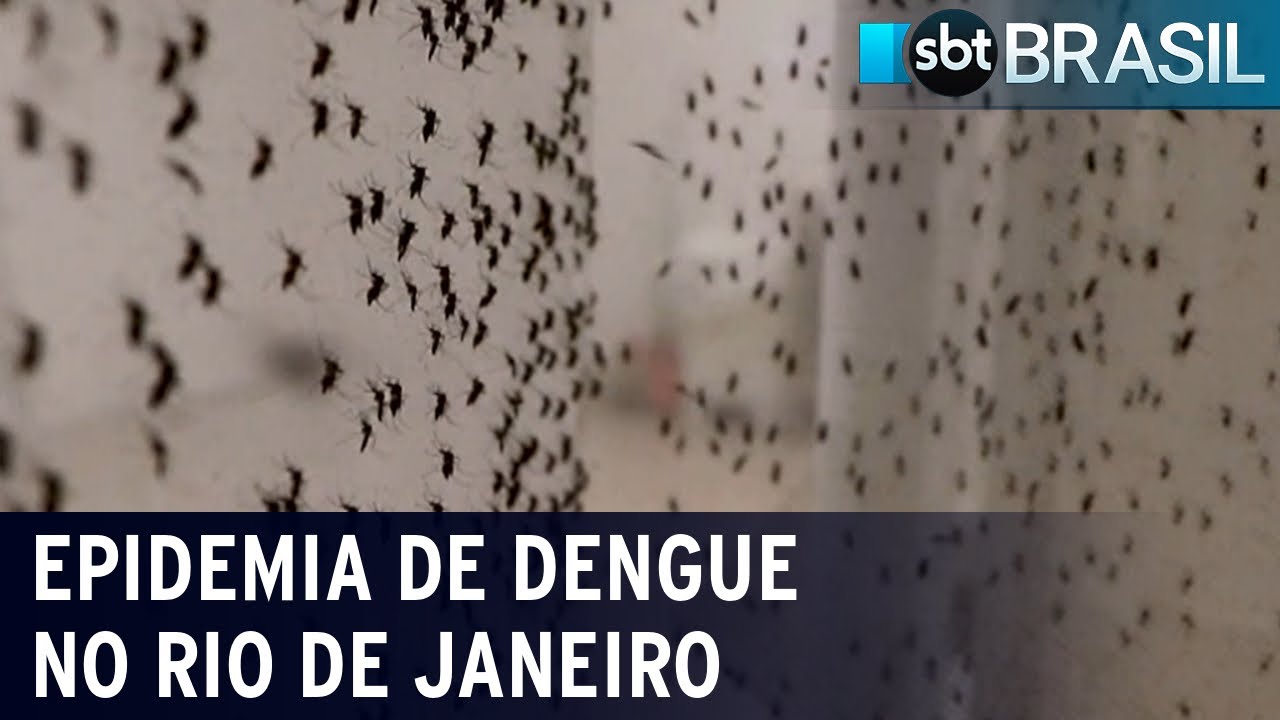 Rio de Janeiro bateu recorde de internações por dengue no mês de janeiro | SBT Brasil (02/02/24)