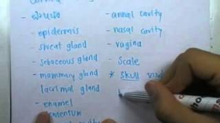 ormBio ver2 : ระบบสืบพันธ์และการเจริญเติบโตของสัตว์ ตอน06