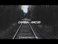 Cambia - Ancud (German Garmendia) (Letra)