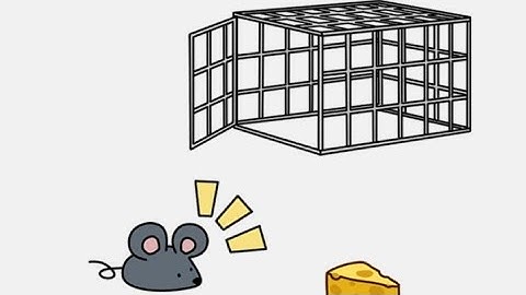 Brain out 2 level 6 put the mouse in a cage! Walkthrough solution
