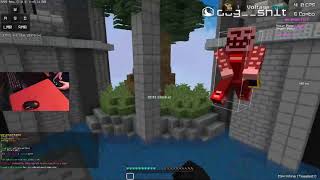 I PLAYED A SUMO MATCH ON CONTROLLER!!! (Java Edition)