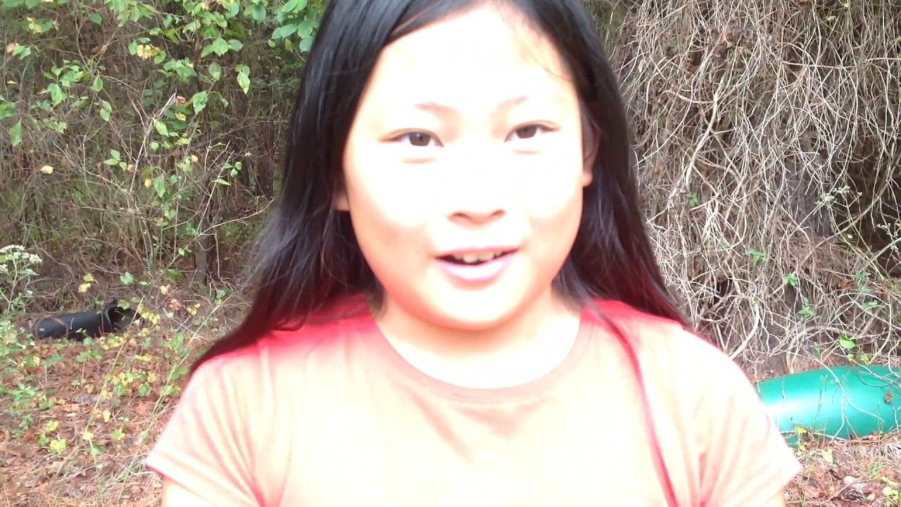 Cool Garden Spider fact's.