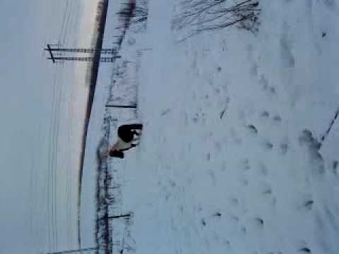 MOV03373