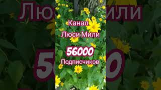 56000 Подписчиков Канал Люси Мили