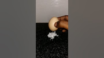 science experiment with egg#Shorts#Egg Challenge
