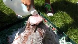 2010 Honors Volcano Eruption