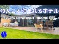 【犬と泊まれる宿】柴犬と滋賀へ旅行!琵琶湖の湖畔にたたずむ贅沢ヴィラが最高だった【豆柴ころた】