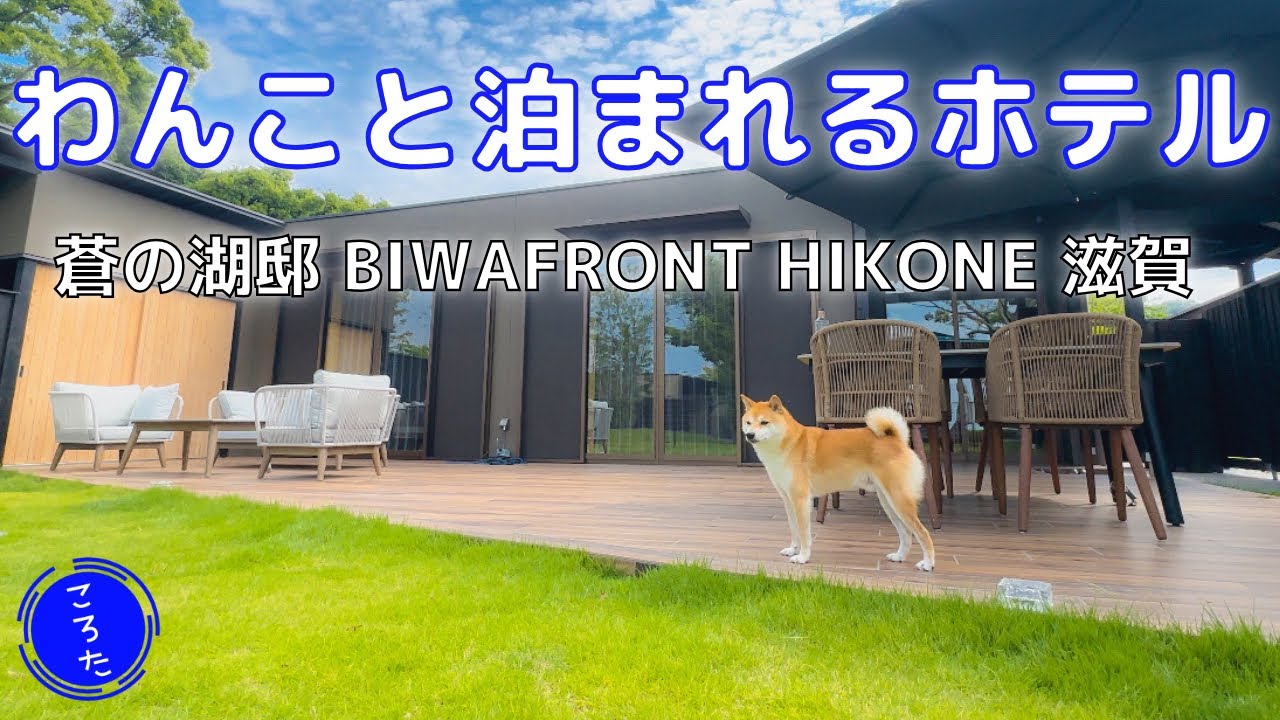 【犬と泊まれる宿】柴犬と滋賀へ旅行！琵琶湖の湖畔にたたずむ贅沢ヴィラが最高だった【豆柴ころた】