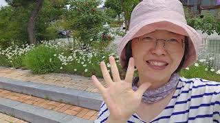 2025년 5월 15일