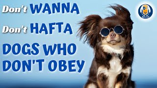 Don't Wanna, Don't Hafta: What To Do When Your Dog Refuses To Obey #47