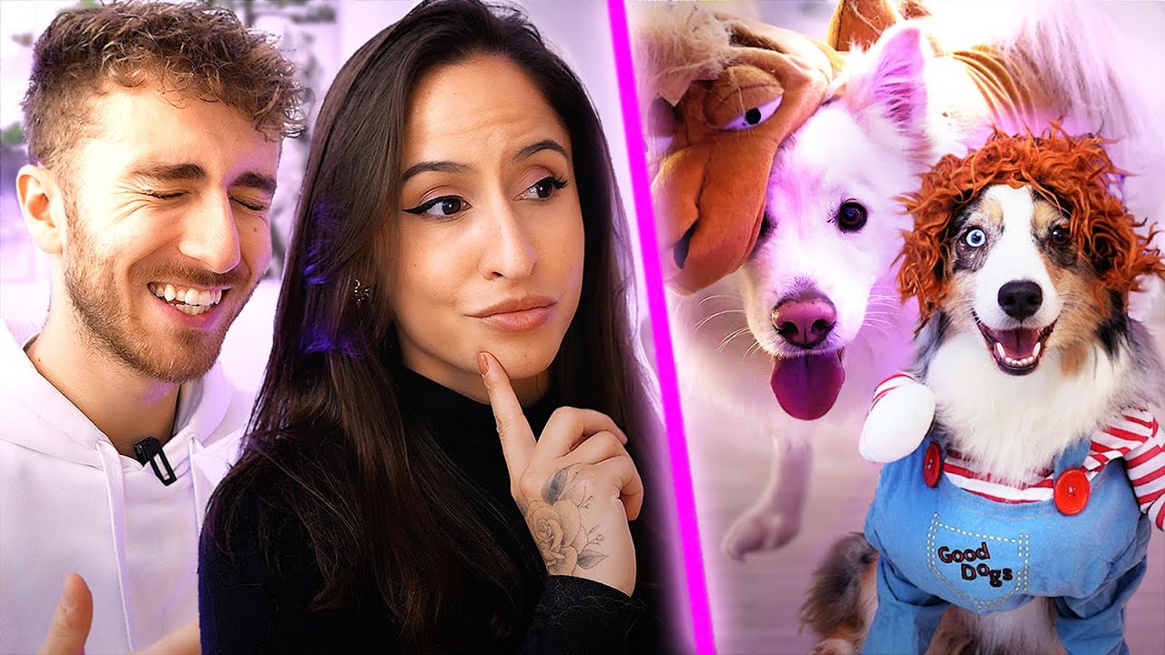LES PIRES TENUES POUR NOS CHIENS ! ( Sora juge fort...)
