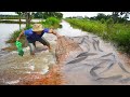 WOW! Catch Many Copper Fish & Catfish Using Cast Net - Fishing On The Road Flooded Near Village