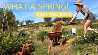 Building our Dream Homestead Garden: The Difference A Year, Mindset, & Rain Can Make!