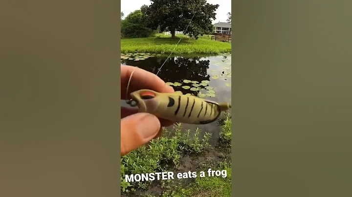 Monster Bass Destroys my Frog
