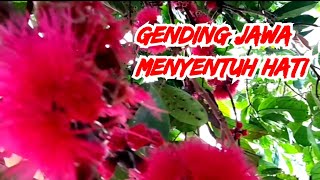 Gending Jawa‼️Tlutur Laras Slendro Pathet Sanga