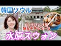 【韓国旅行】世界遺産スウォン！有名チキン、絶景カフェ！女子ひとり旅　@ajunmatv