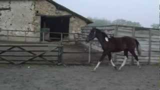 cheyenne 047.AVI