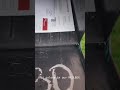 Ants have made a home in my mailbox.