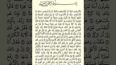 سورة النازعات مكتوبة كاملة بصوت الشيخ وديع اليمني 🍃