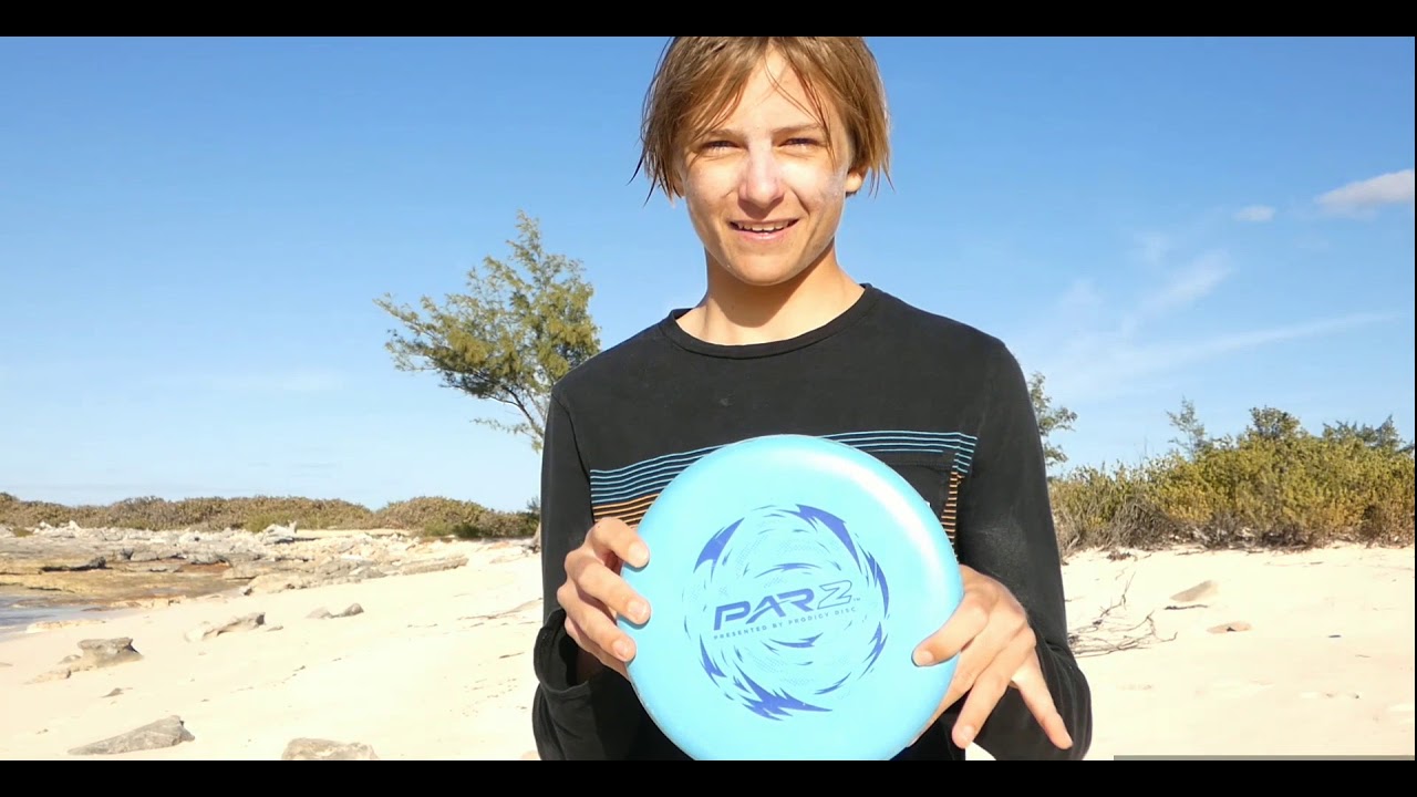 Prodigy P-Model S Disc Review